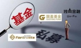 最新爆料私募基金公司,业绩飙升背后的秘密解析