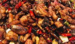 鸡的最新爆料图片,揭秘最新爆料的网红鸡风采