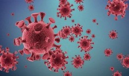 新冠冠状病毒最新爆料,病毒变异与全球防控策略再升级