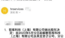 阿里爆料裁员最新消息,揭秘裁员背后的行业真相