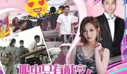 莆田王小姐最新爆料,揭秘事件背后惊人真相