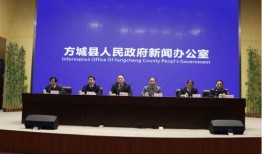 方城新闻最新爆料,重大事件背后真相揭晓！