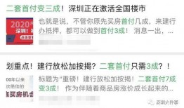 深圳最新爆料消息,揭秘科技巨头新动向与城市未来蓝图