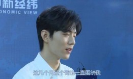 肖战最新事件新爆料,深度揭秘背后真相与影响