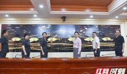 岳阳市最新爆料案件,神秘案情引发社会关注