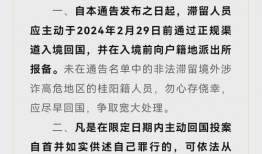 缅北最新爆料消息今天,最新爆料揭示神秘势力动向