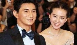 刘诗诗卓伟最新爆料,揭秘明星背后的真相与争议