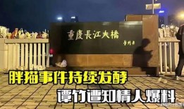 谭竹事件爆料最新消息,揭秘背后惊人真相