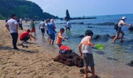 海南赶海爆料网站大全最新,探索海滩的秘密宝藏