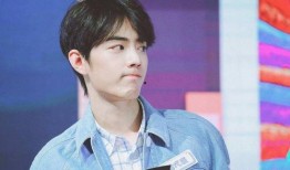 肖战最新事件新爆料,深度揭秘背后真相与影响