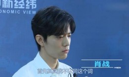 肖战最新事件新爆料,深度揭秘背后真相与影响