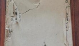 淮安生蚝店爆料视频最新,新鲜美味背后的秘密大揭秘！