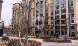 如皋建成丽园最新爆料,品质升级，宜居生活新篇章