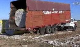 原神最新卡车爆料,神秘角色登场，探索未知领域