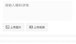 福宝最新爆料,最新爆料背后的惊人真相
