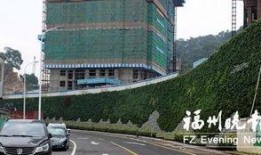 新城最新爆料消息新闻,最新热点新闻深度解析