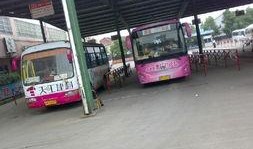 奉化公交车最新爆料,最新爆料揭示线路调整与优化