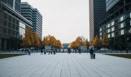 海月美学爆料最新消息,揭秘神秘新项目，引领时尚潮流新篇章