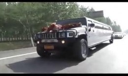 美国车队爆料视频大全最新,揭秘赛车界幕后风云