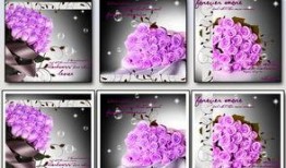 水晶玫瑰最新爆料图片高清,高清爆料图揭秘神秘魅力