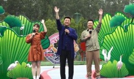 惠阳淡水爆料事件视频最新,真相与争议交织的舆论漩涡